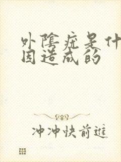 外阴疣是什么原因造成的