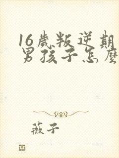 16岁叛逆期的男孩子怎么去引导