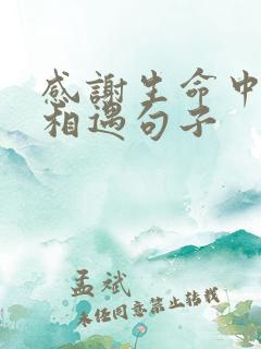 感谢生命中与你相遇句子