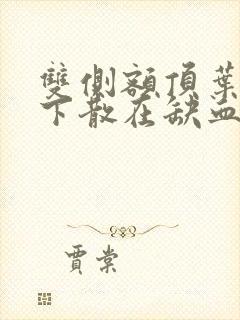 双侧额顶叶皮层下散在缺血灶是什么意思