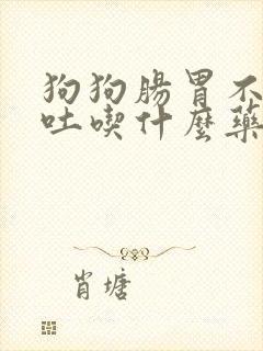 狗狗肠胃不适呕吐吃什么药