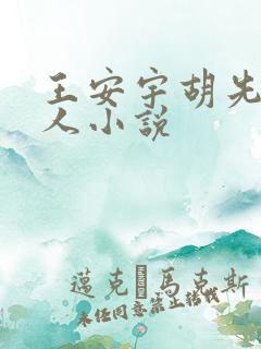 王安宇胡先煦同人小说