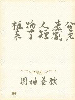 植物人老公站起来了短剧免费看