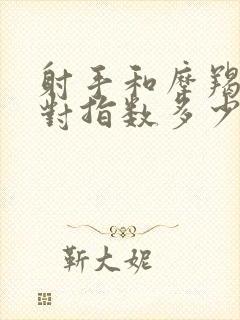 射手和摩羯座配对指数多少