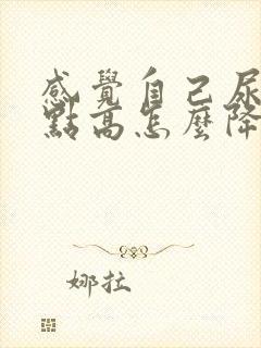 感觉自己尿酸有点高怎么降