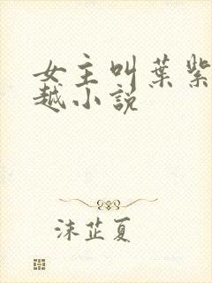 女主叫叶紫的穿越小说