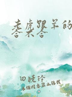 老虎跟羊的属相合不合