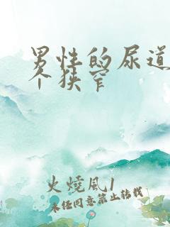 男性的尿道的三个狭窄