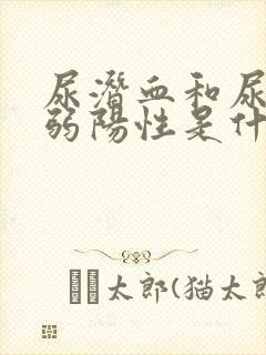 尿潜血和尿蛋白弱阳性是什么意思