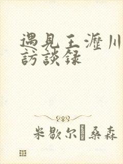 遇见王沥川导演访谈录
