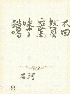 猫咪突然不吃不喝了怎么回事