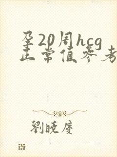 孕20周hcg正常值参考范围