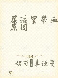 尿液里带血什么原因