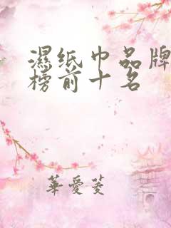 湿纸巾品牌排行榜前十名