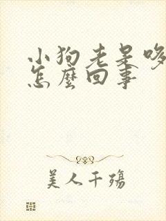 小狗老是哆嗦是怎么回事