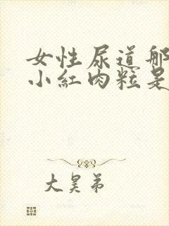 女性尿道那起了小红肉粒是什么原因