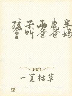 孩子两岁半了只会叫爸爸妈妈怎么办呀