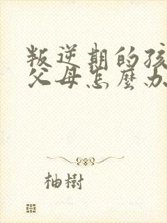 叛逆期的孩子打父母怎么办