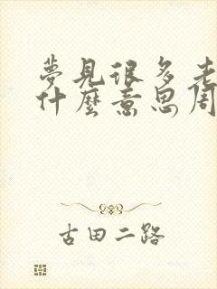 梦见很多老鼠是什么意思周公解梦