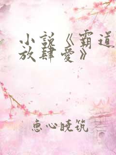 小说《霸道总裁放肆爱》