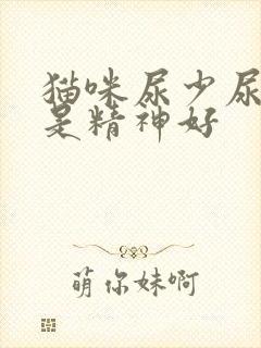 猫咪尿少尿频但是精神好