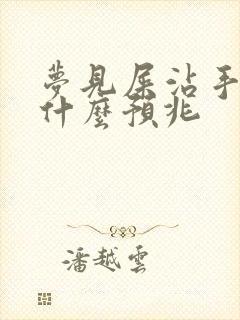 梦见屎沾手上是什么预兆