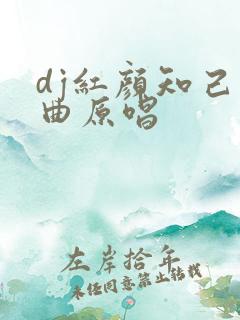 dj红颜知己歌曲原唱