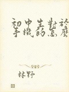 初中生对于沉迷手机的怎么办