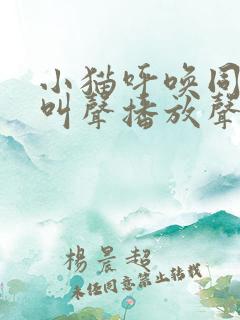 小猫呼唤同伴的叫声播放声音