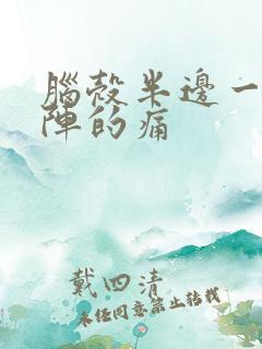 脑壳半边一阵一阵的痛