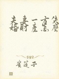 夫妻一方失踪离婚财产怎么分