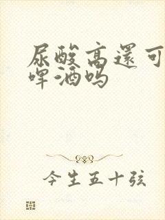 尿酸高还可以喝啤酒吗