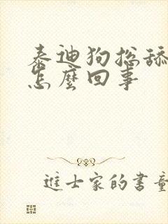 泰迪狗总舔爪子怎么回事