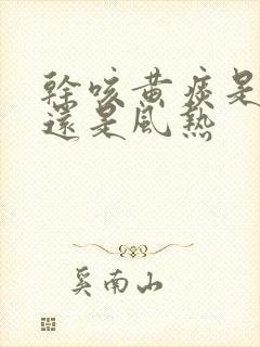 干咳黄痰是风寒还是风热