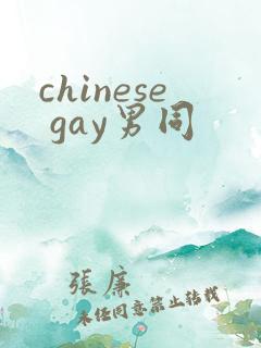 chinese gay男同