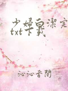 少妇白洁完整版txt下载