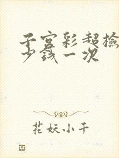 子宫彩超检查多少钱一次