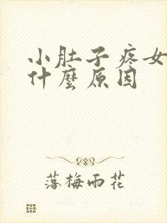 小肚子疼女性是什么原因