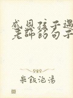 感恩孩子遇到好老师的句子