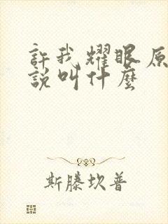 许我耀眼原著小说叫什么