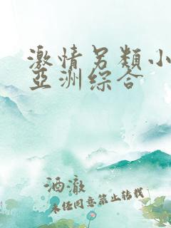 激情另类小说区亚洲综合