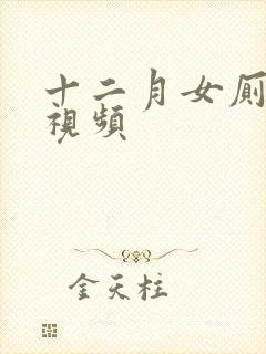 十二月女厕偷拍视频