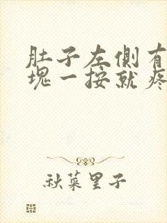 肚子左侧有个硬块一按就疼怎么回事