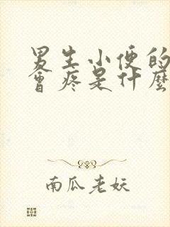 男生小便的时候会疼是什么原因?