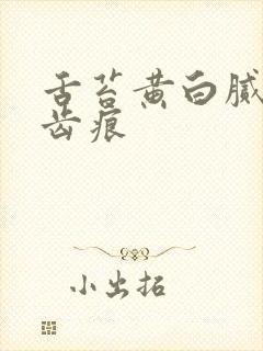 舌苔黄白腻厚有齿痕