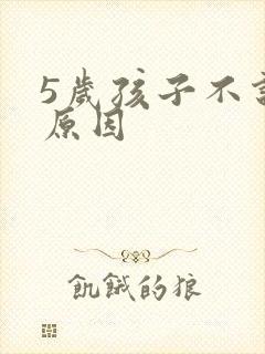 5岁孩子不说话原因