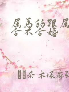 属马的跟属鸡的合不合婚