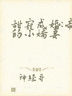 甜宠成婚:帝少的小娇妻