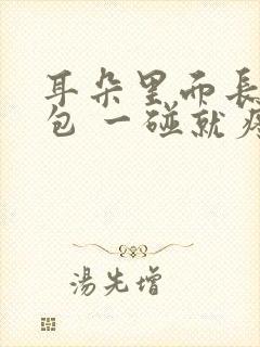 耳朵里面长了个包 一碰就疼