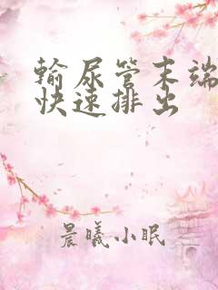 输尿管末端结石快速排出